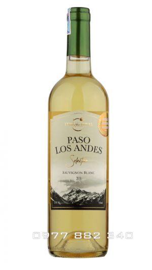 Rượu vang Paso Los Andes Selection Sauvignon Blanc