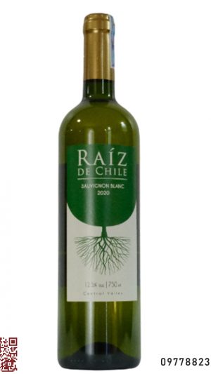 Vang trắng Chile Raiz Sauvignon Blanc